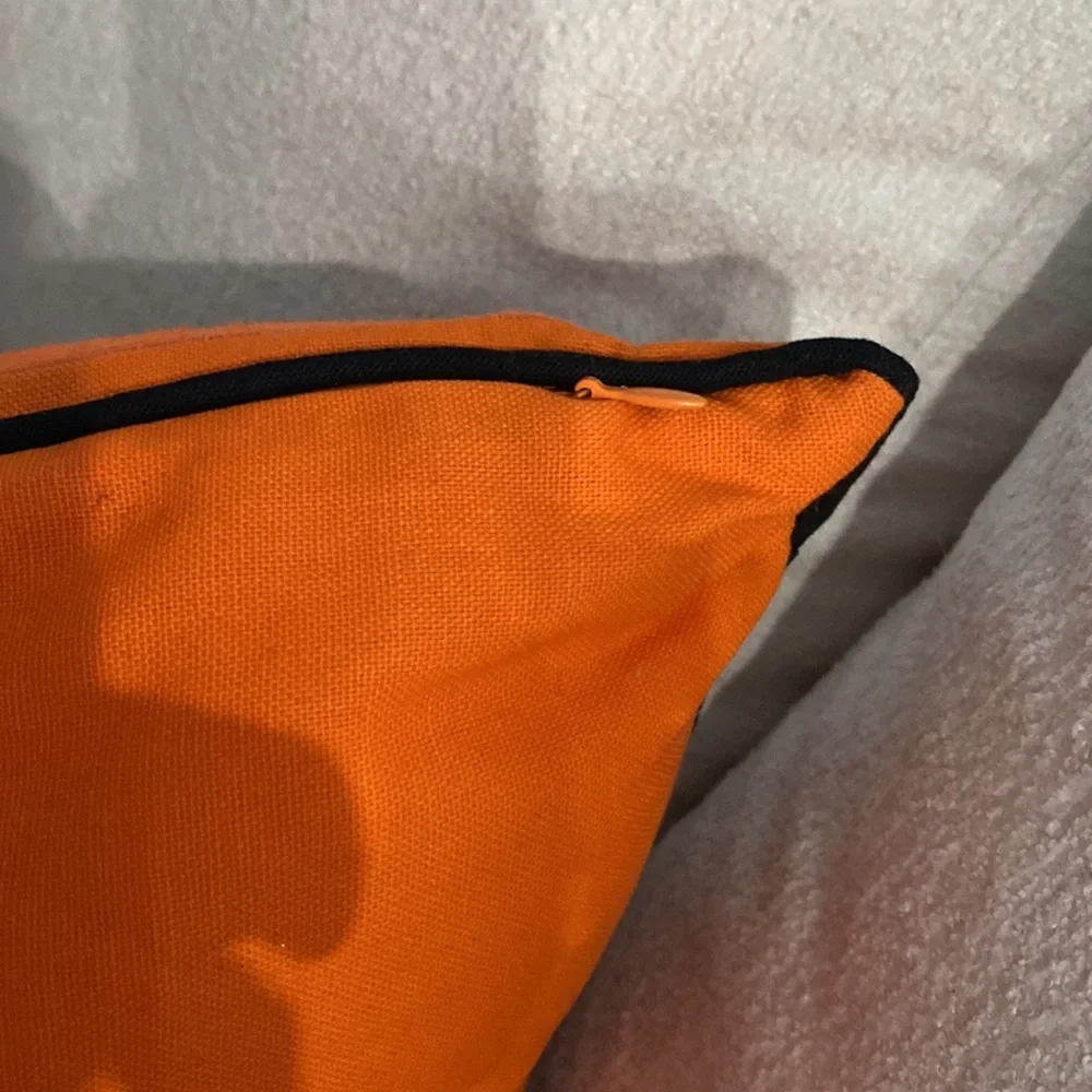 Halloween NWOT Festive Pillows